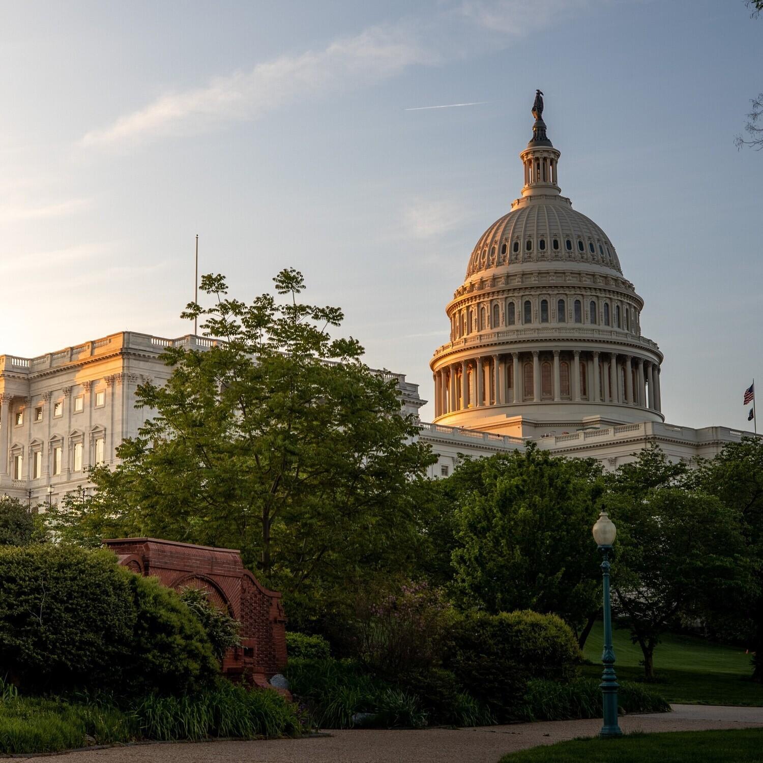 US Capitol (3)