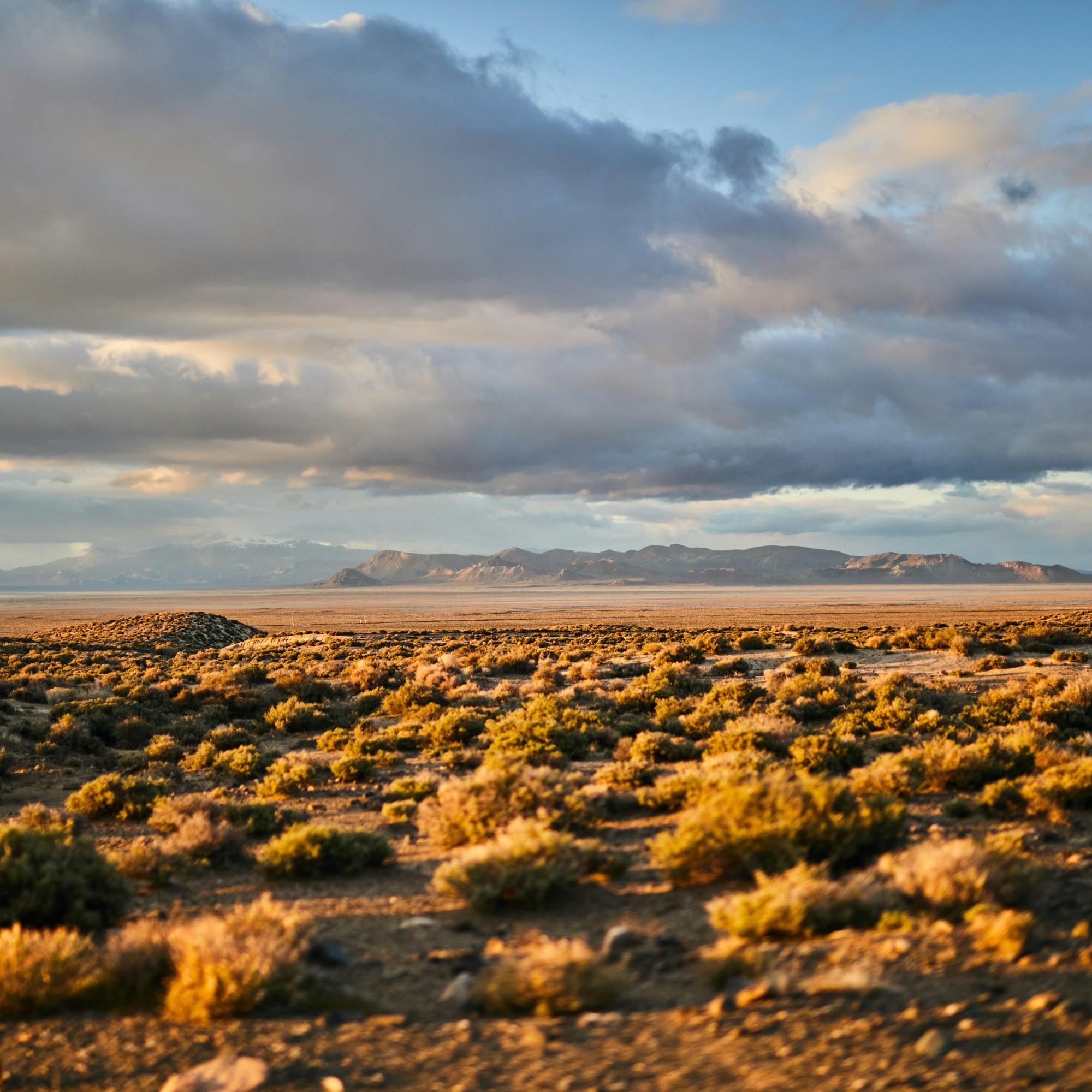 Black Rock Desert