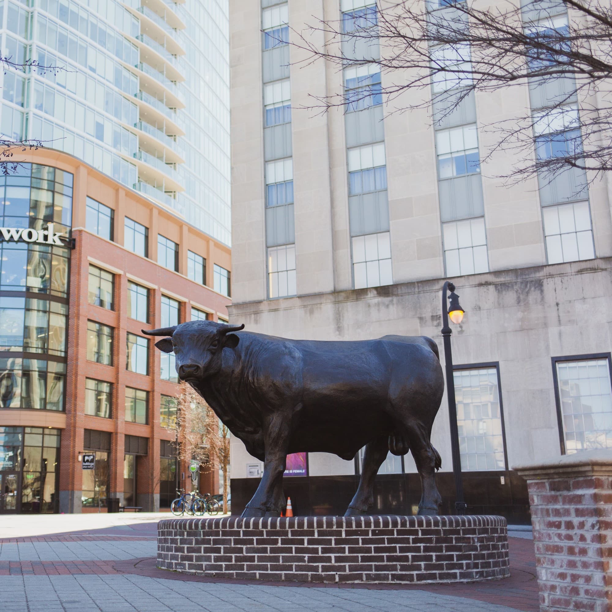 Durham Bull Wide